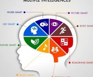 The-Theory-of-Multiple-Intelligences-4