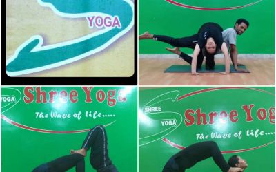 Shree Yoga- Best Yoga ,Aerobic and Fitness Center in Jaipur