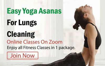 Online Aerobics & Zumba Class by Shree Yoga-Best Aerobics and Zumba Classes 